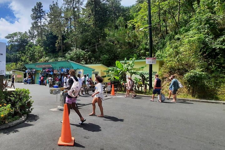 Mud Baths, Waterfalls & Snorkeling at Sugar Beach: Soufrière Full-Day Adventure