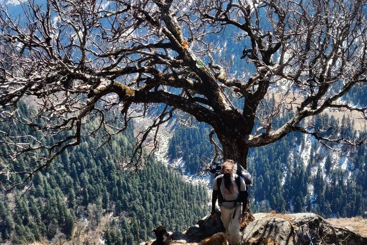 Har Ki Dun Trek: 7-Day Himalayan Valley Trek from Dehradun photo 5