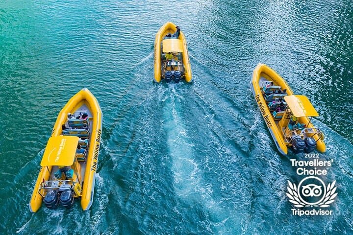 45-Minute Speedboat to Atlantis Hotel — Palm Jumeirah Coastal Blast, Dubai photo 6