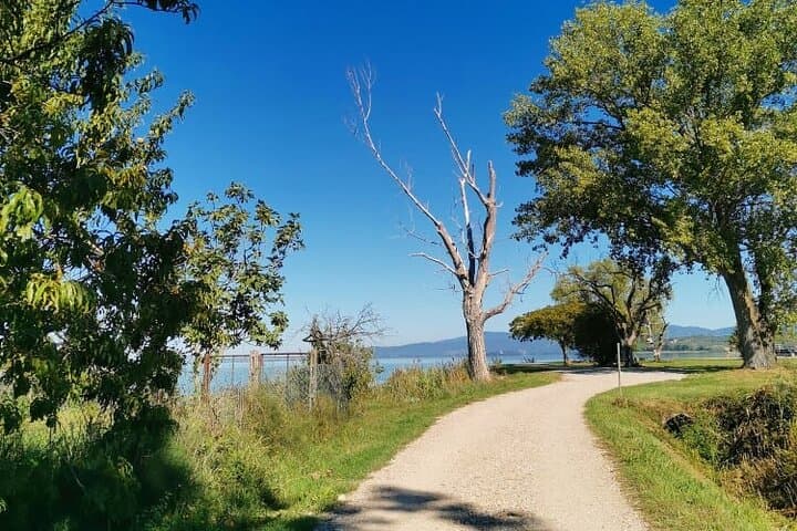 Lake Trasimeno Trekking Tour: Panicale Loop to Magione (12 km) photo 6