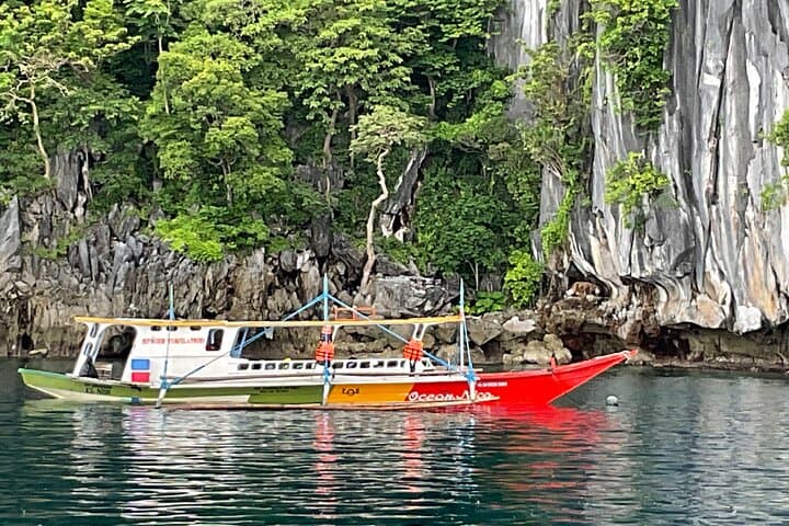 Private Coron Ultimate Tour: Kayangan Lake, Twin Lagoon, Coral Gardens & WWII Wrecks photo 5