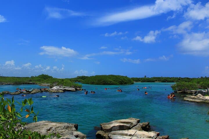 Mayan Adventour: Caleta & Cavern Snorkeling Tour in the Riviera Maya photo 6
