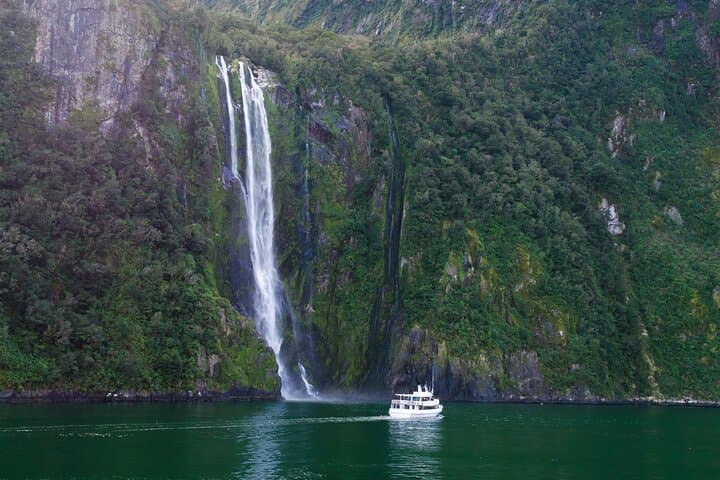 Milford Sound Day Tour and Scenic Cruise from Queenstown — Full-Day Guide photo 4