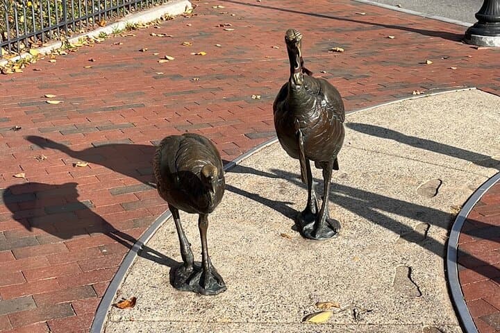 Self-Guided Historic Walking Tour of Downtown Asheville (Smartphone GPS App) photo 3