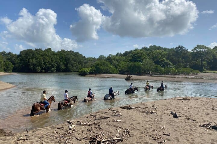 Samara Jungle & Beach Horseback Ride — 2.5-Hour Ranch-to-Beach Experience