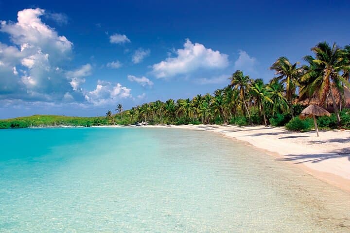 Full-Day Isla Contoy & Isla Mujeres Tour from Riviera Maya — Boat, Birds & Snorkel photo 2
