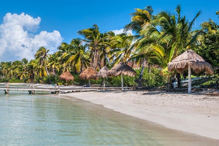 Full-Day Isla Contoy & Isla Mujeres Tour from Riviera Maya — Boat, Birds & Snorkel photo 4