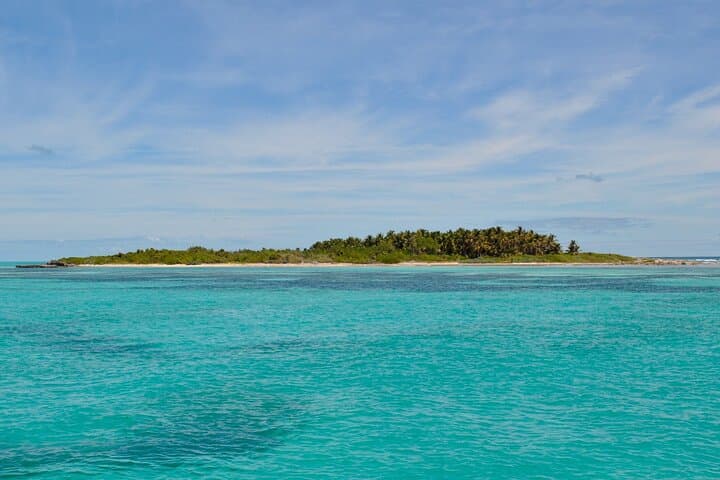 Full-Day Isla Contoy & Isla Mujeres Tour from Riviera Maya — Boat, Birds & Snorkel photo 5