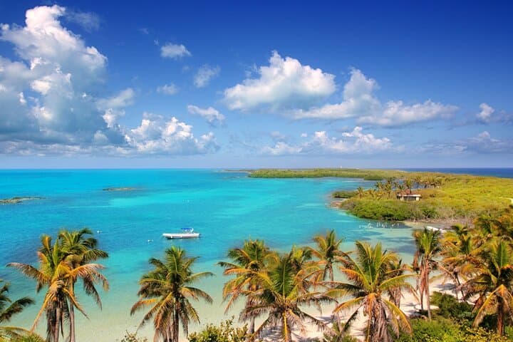 Full-Day Isla Contoy & Isla Mujeres Tour from Riviera Maya — Boat, Birds & Snorkel