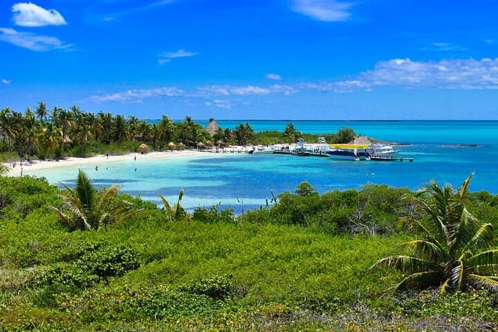 Full-Day Isla Contoy & Isla Mujeres Tour from Riviera Maya — Boat, Birds & Snorkel photo 3