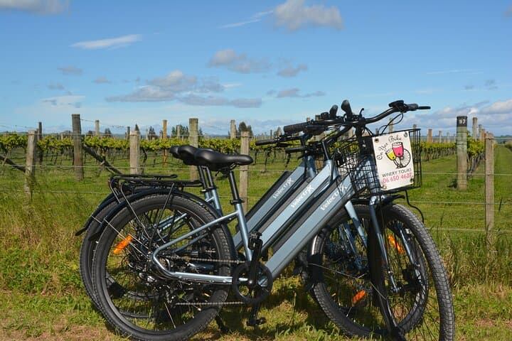 Explore Hawke's Bay Wineries on a Self-Guided E‑Bike Tour