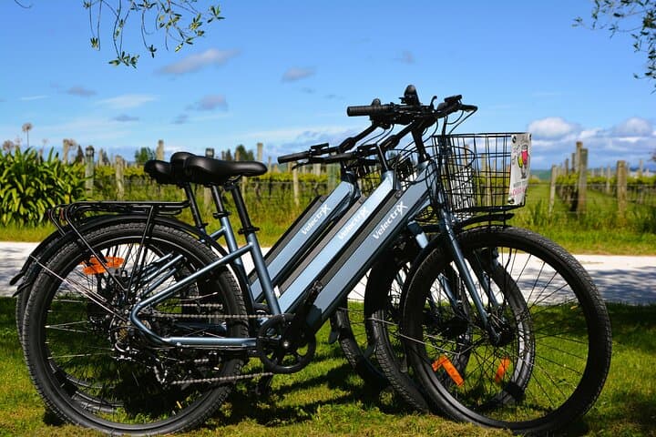 Explore Hawke's Bay Wineries on a Self-Guided E‑Bike Tour photo 6