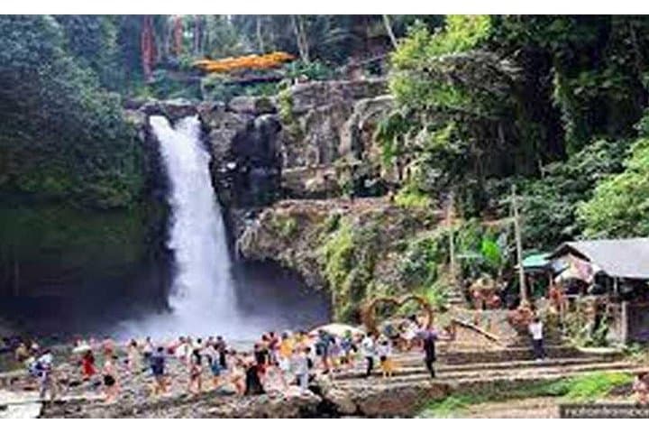 Full-Day Ubud, Monkey Forest & Tanah Lot Tour: Waterfalls, Monkeys & Sea-Temple Views photo 2