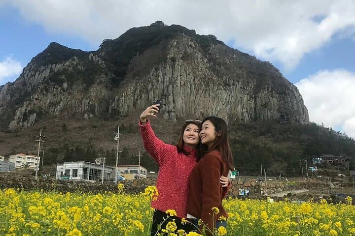 Jeju South & West Private Day Tour — Waterfalls, Basalt Cliffs & Tea Fields photo 4