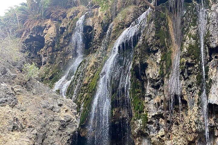 5-Day Safari from Arusha: Tarangire, Serengeti & Ngorongoro Crater photo 2