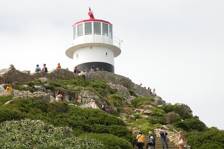 Cape of Good Hope & Boulders Penguins — Small-Group Cape Peninsula Day Tour photo 3