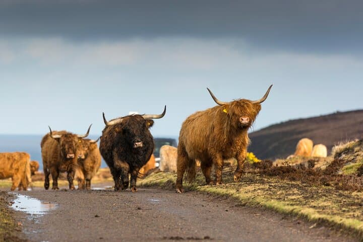 8-Day Isle of Skye, Orkney & North Coast 500 Tour from Edinburgh — Complete Scotland Roadtrip photo 4