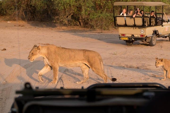 Aquila Big Five Safari and Fairview Wine & Cheese Day Trip from Cape Town photo 4