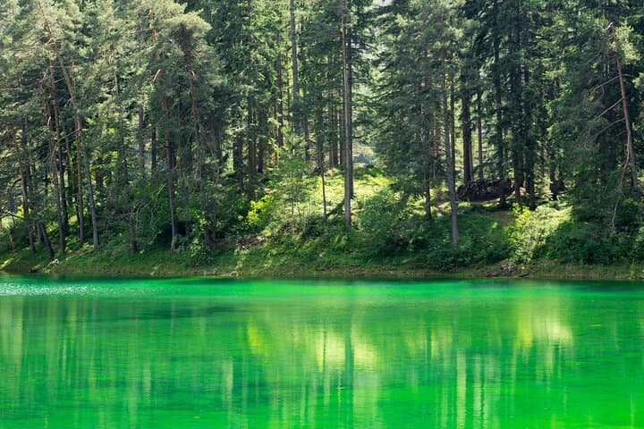 Gruner See Private Tour: Explore Austria's Emerald Mountain Lake photo 4
