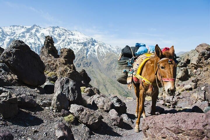 Atlas Mountains & Three Valleys Day Trip from Marrakech: Ourika, Asni & Lalla Takerkoust photo 6