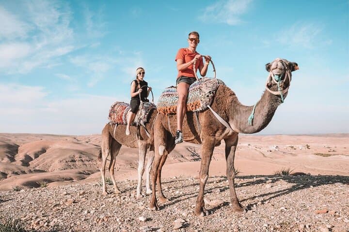 Agafay Desert Quad Biking, Camel Ride & Dinner Show from Marrakech photo 3