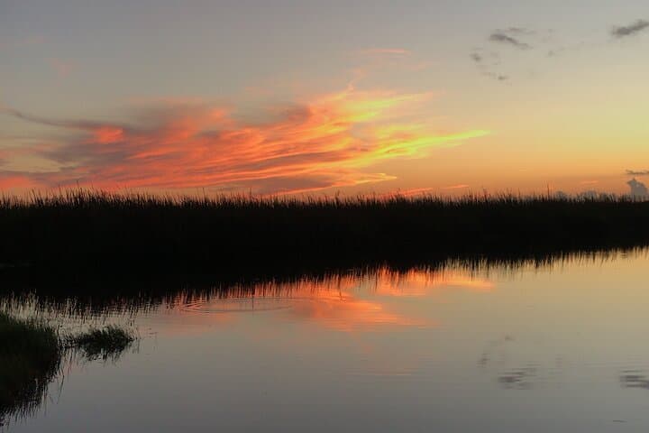 Sunset Everglades Airboat Tour — 1.5-Hour Private Miami Experience photo 4