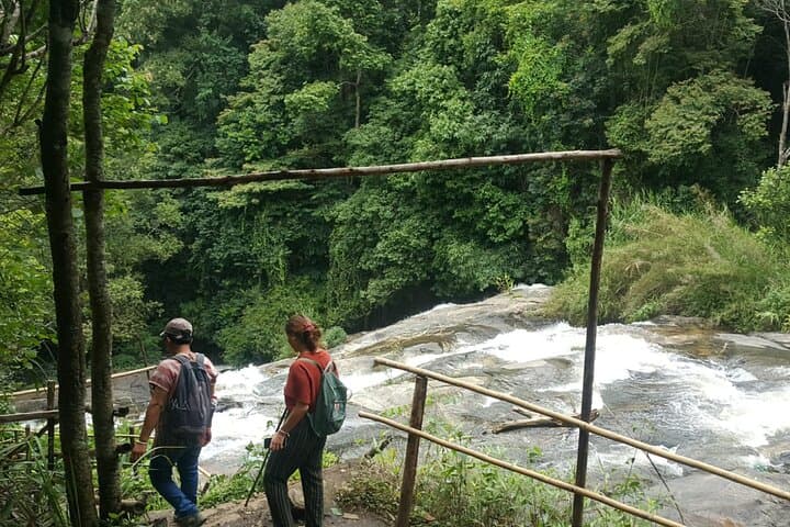 Doi Inthanon One-Day Eco Trek to Thailand's Highest Peak and Ten-Tier Waterfall photo 2