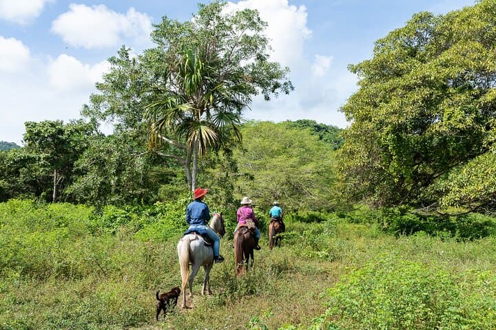 Horseback Ride to San Salvador River from La Mello Adventure Lodge photo 6