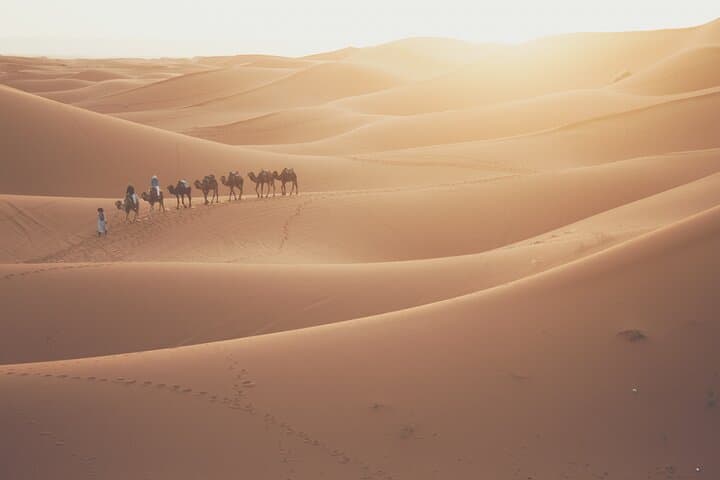 Doha Sunrise Desert Safari: Dune Bashing, Camel Riding & Inland Sea Excursion photo 2