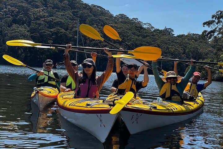 Middle Harbour Eco Kayak Tour — Guided Sea Kayaking from Spit Bridge