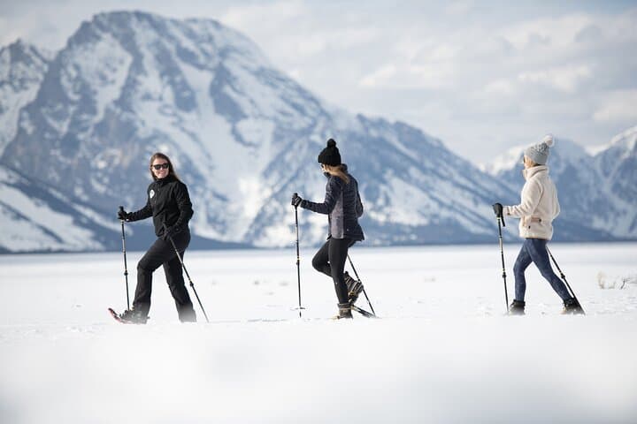 4-Hour Guided Snowshoe in Grand Teton National Park