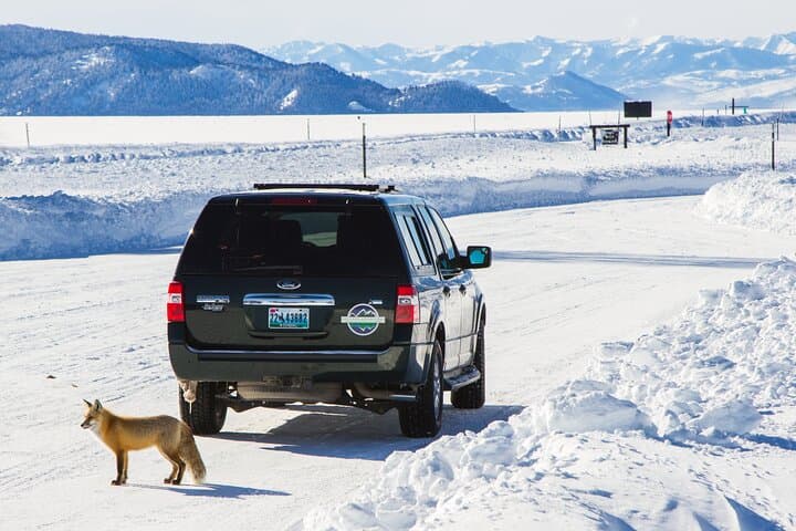 4-Hour Guided Snowshoe in Grand Teton National Park photo 5