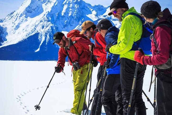 4-Hour Guided Snowshoe in Grand Teton National Park photo 6