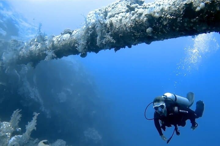 Aqaba Boat Dive: Guided Wreck and Reef Dives with Lunch photo 5