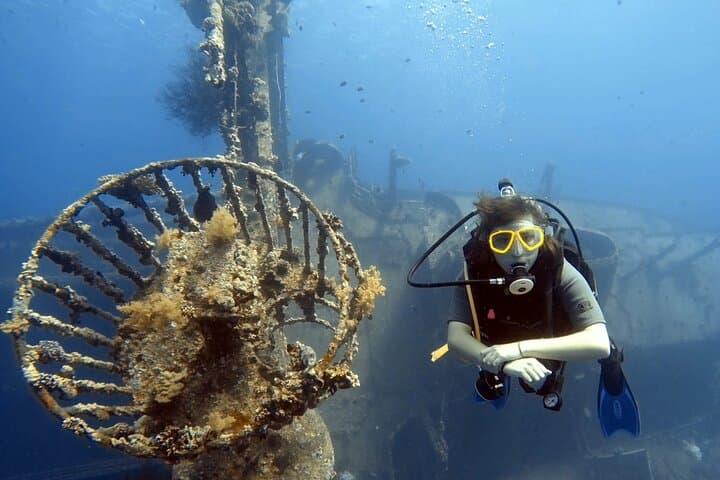 Aqaba Boat Dive: Guided Wreck and Reef Dives with Lunch photo 6