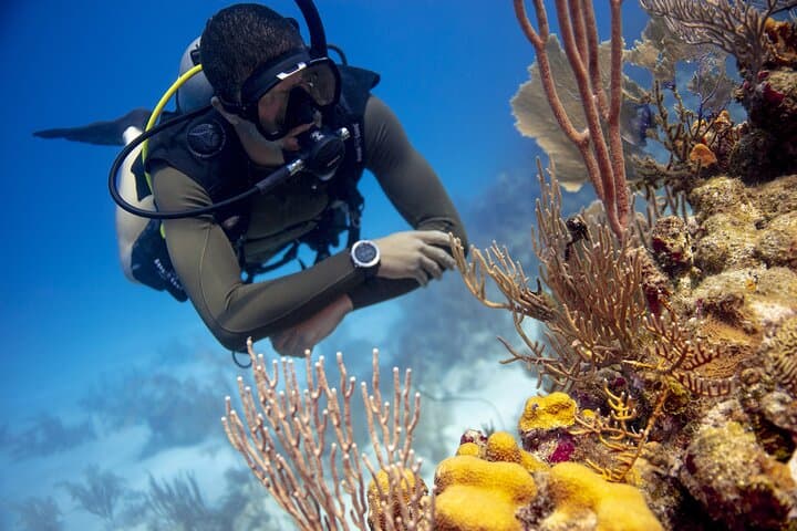 Discover Scuba Diving at Bondi Beach: Half-Day Private Intro in Sydney photo 4