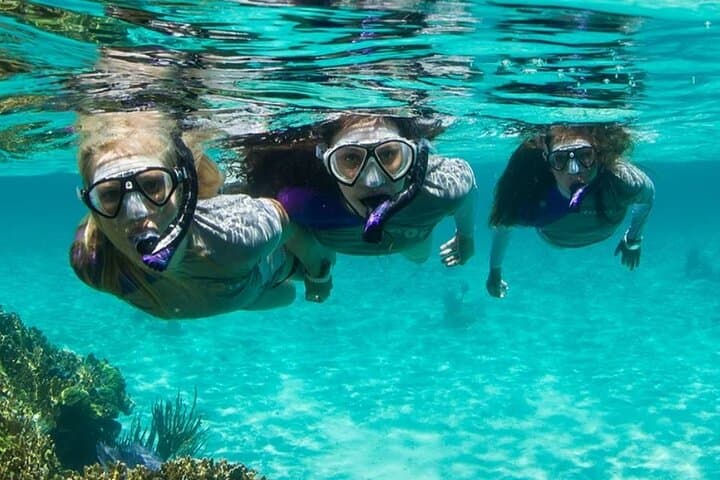 Guided Snorkeling in Bondi: Discover Sydney’s Coastal Marine Life photo 2