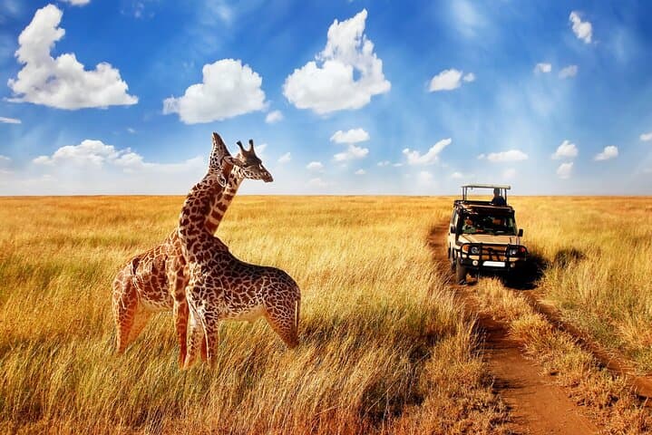 4-Day Private Serengeti & Ngorongoro Mid-Range Safari photo 5
