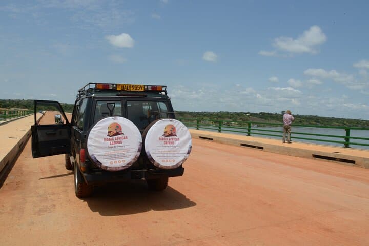 Mabamba Swamp Shoebill Safari: Half-Day Boat Trip from Entebbe