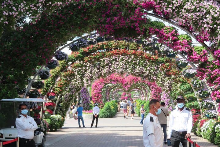 Dubai Miracle Garden: Walking Through 50 Million Blossoms photo 3
