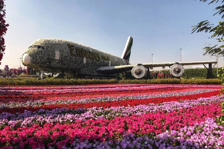 Dubai Miracle Garden: Walking Through 50 Million Blossoms