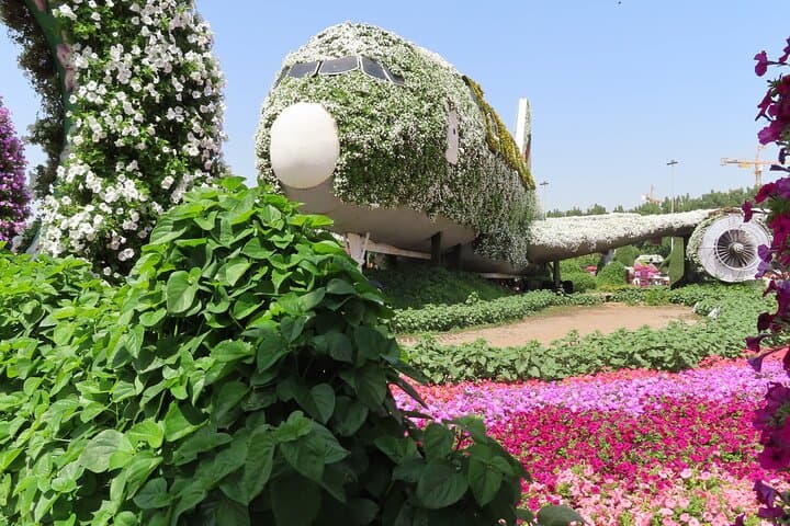 Dubai Miracle Garden: Walking Through 50 Million Blossoms photo 2