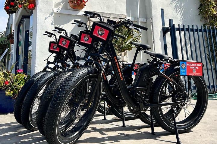 Ride Coronado Island: Self-Guided Electric Bike Rentals & Coastal Routes photo 2