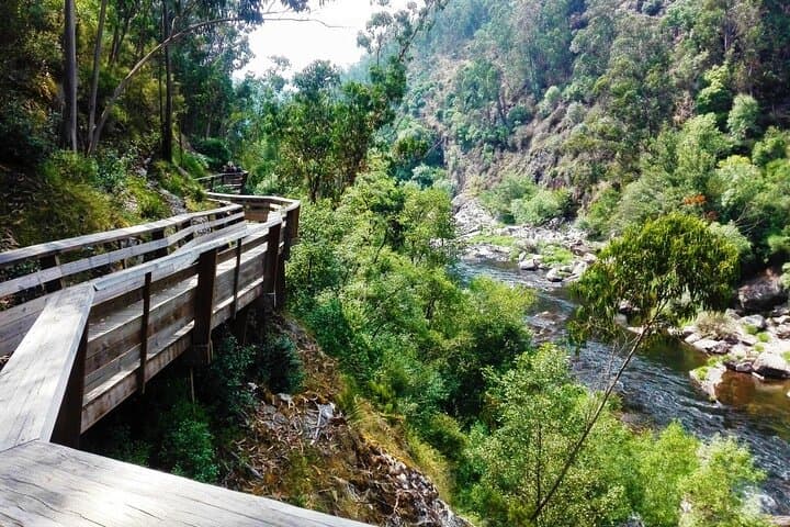 Paiva River Walkways and 516 Arouca Bridge: A Day Hike Through Geology and Rapids