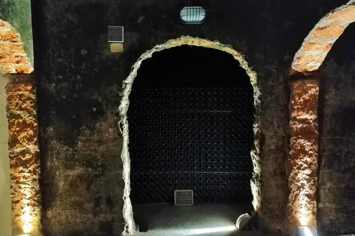 Cycle the Bairrada Vineyards: Full-Day Wine & Sparkling Tasting from Coimbra photo 5