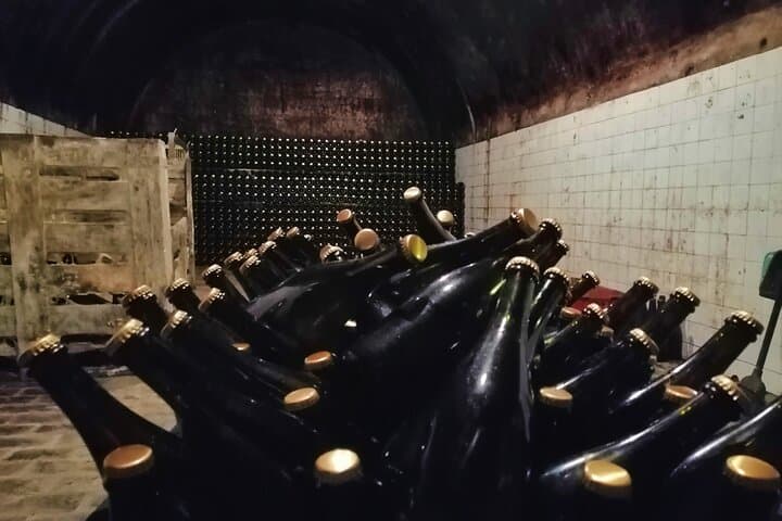 Cycle the Bairrada Vineyards: Full-Day Wine & Sparkling Tasting from Coimbra photo 6