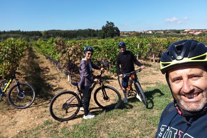 Cycle the Bairrada Vineyards: Full-Day Wine & Sparkling Tasting from Coimbra photo 3