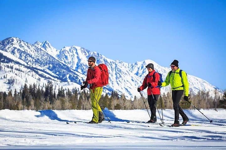 Beginner Cross-Country Skiing in Grand Teton: Half-Day Naturalist-Guided Tour photo 4