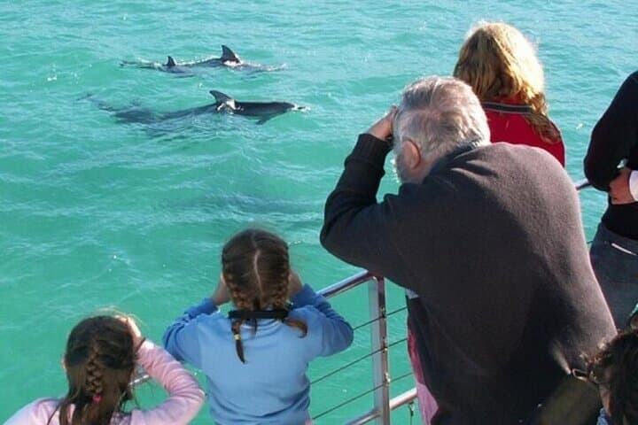 Jervis Bay Day Trip: Dolphins, Kangaroos & Hyams Beach photo 2