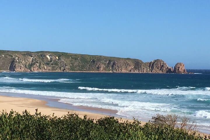 Up Close with the Little Penguins: Private Phillip Island Sunset Tour from Melbourne photo 6